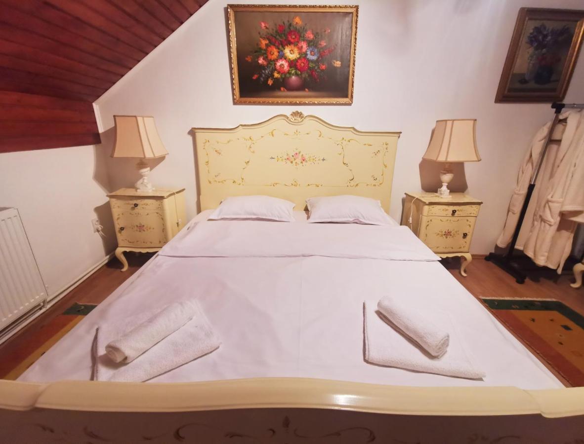 Hotel Casa Dan & Lili à Sura Mica Extérieur photo
